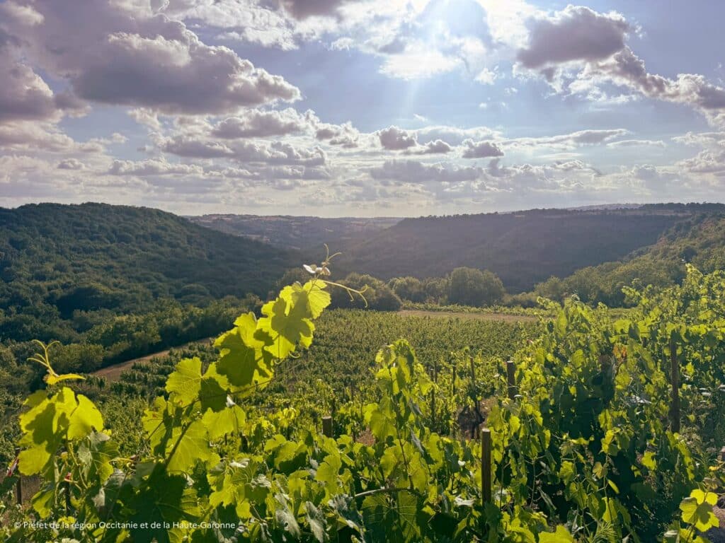 Réunion exceptionnelle des conseils de bassins viticoles Languedoc-Roussillon et Sud-Ouest.