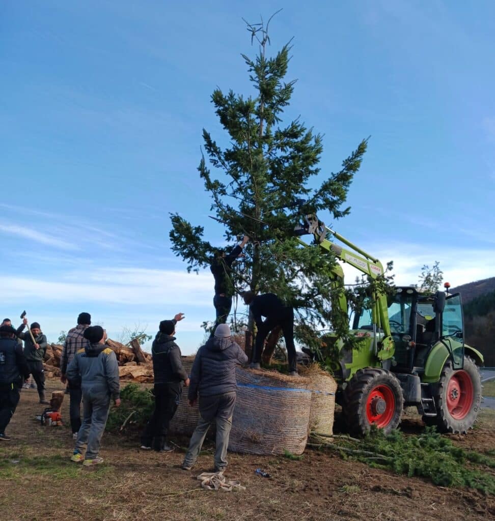 Mardi 16 décembre 2025 au matin, rond point du Bazert à Gourdan-Polignan, les agriculteurs ont érigé un sapin de Noël symbole de leur détermination.